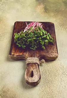Vegetable Gardening Tips Drucke: Fresh micro-greens, beetroot sprouts