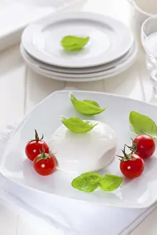 Gourmet Meal Ideas Drucke: Fresh mozzarella with cherry tomatoes and basil