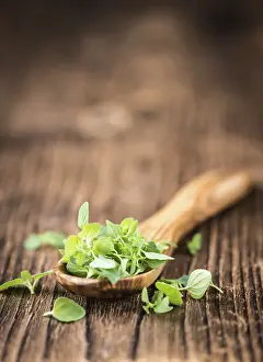 Deserted Kitchen Scene Drucke: Fresh Oregano (selective focus)
