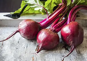 Biological Cultivation Drucke: Fresh organic beetroot with leaves