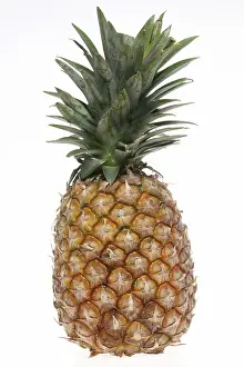 Fruchtiger Anblick: Eine frische Ananas