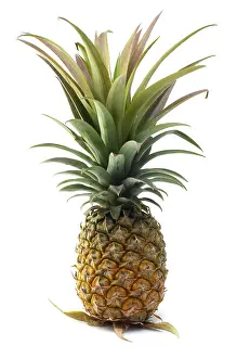 Tropical Fruit Photography Drucke: A Fresh Pineapple Isolated on White Background
