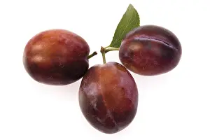 Stone Fruit Photography Drucke: Three fresh plums