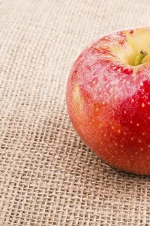 Freshly Picked Fruits Drucke: Fresh red apple placed on a canvas