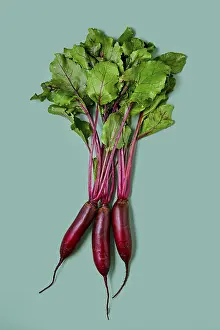 Organic Beetroot Cultivation Drucke: Fresh spring beetroot with tops