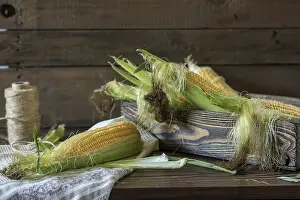 Agricultural Plant Photos Drucke: Fresh sweet corn on cobs on rustic wooden table