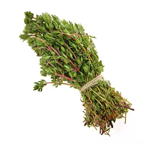White Studio Background For Food Photography Drucke: Fresh thyme bunch isolated on white