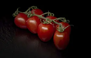 Solanaceae Plant Images Drucke: Fresh tomatoes with black background