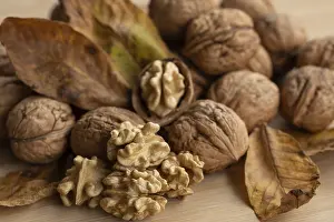 Central European Walnuts Drucke: Fresh walnuts from Germany