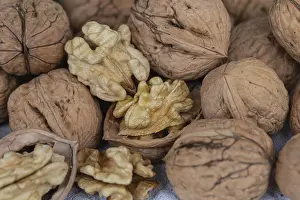 German Federal Republic Nuts Drucke: Fresh walnuts from Germany in shell and peeled