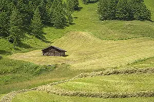 Northern Italy Countryside Drucke: Freshly mown meadow and haystack