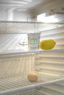 Food Storage Solutions Drucke: Almost empty fridge
