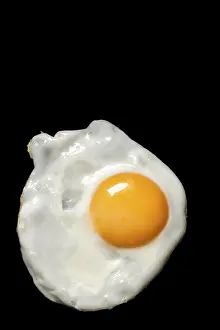 Studio Shot Of Eggs Drucke: Fried egg