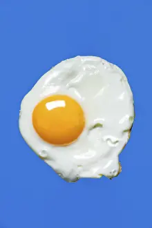 Studio Shot Of Egg Drucke: Fried egg