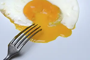 Chicken Egg Nutrition Facts Drucke: Fried egg, fried egg with fork