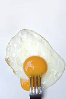 Egg Yolk Nutrition Drucke: Fried egg, fried egg with fork