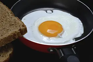 Baked Goods Grocery Store Drucke: Fried egg in a pan, fried chicken egg