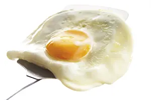 Fried Egg Nutrition Drucke: Fried egg on a spatula