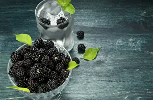 Studio Food Photography Drucke: Frische Brombeere