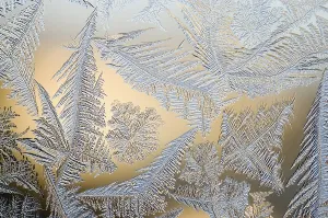Winter Nature Scene Drucke: Frost flowers on window