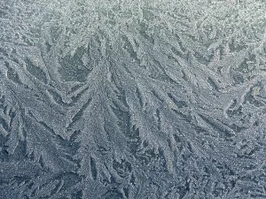 Frost Pattern Drucke: Frost pattern, ice flowers, ice crystals