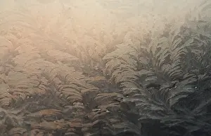 Winter Background Image Drucke: Frost pattern, ice flowers, ice crystals