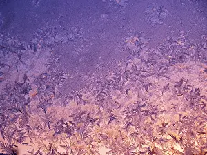 Frosty Landscape Photography Drucke: Frost patterns