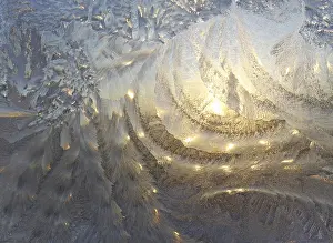 Deserted Winter Scene Drucke: Frost and sun on winter window