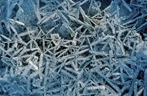 Ice Crystal Pattern Drucke: Frostwork, Germany