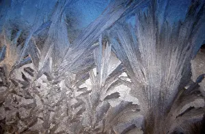 Hoarfrost Germany Drucke: Frostwork on window, Germany