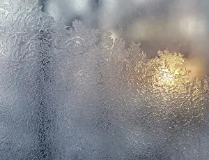 Deserted Winter Scene Drucke: Frosty natural pattern and sunlight on winter windowpane