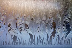 Frosty Window Pattern Drucke: Frosty natural pattern on winter window