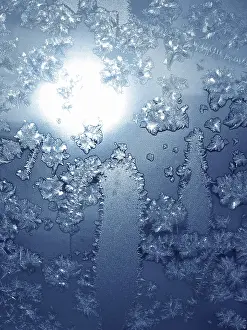 Deserted Winter Scene Drucke: Frosty natural pattern on winter window