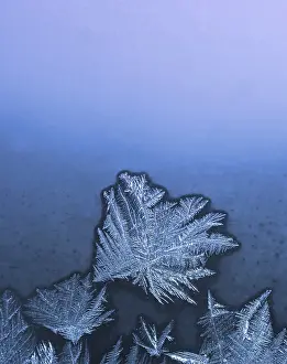 Frozen Winter Landscape Photography Drucke: Frosty natural pattern on winter window