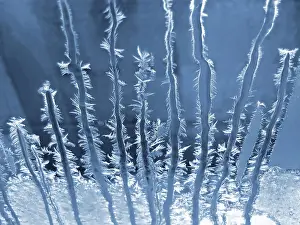 Deserted Structure Images Drucke: Frosty natural pattern on winter window
