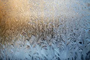 Deserted Winter Landscape Photo Drucke: Frosty natural pattern on winter window