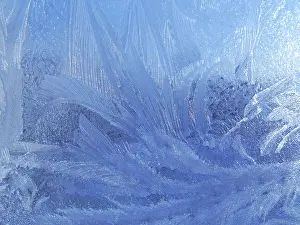 Deserted Winter Scene Drucke: Frosty natural pattern on winter window