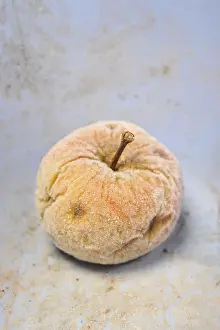 Close Up Fruit Photography Drucke: Frozen apple