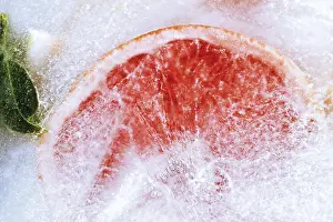 Colorful Citrus Fruits Drucke: Frozen Ruby Grapefruit