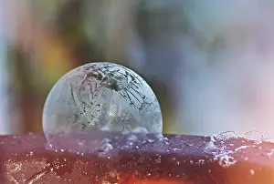 Frozen Soap Bubble Drucke: Frozen soap bubble, colourful background