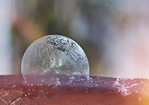 Frozen Soap Bubble Drucke: Frozen soap bubble, colourful background