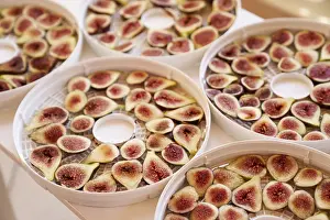 Exotic Fruit Nutrition Drucke: Fruit drying process on plates. Close up