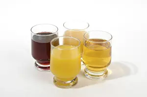 Citrus Fruits Drucke: Fruit juice
