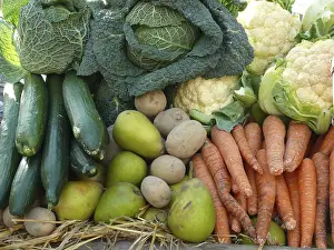 Harvested Fruits Drucke: Fruit and vegetables