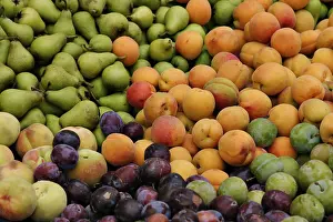 Colorful Fruits Drucke: Fruits