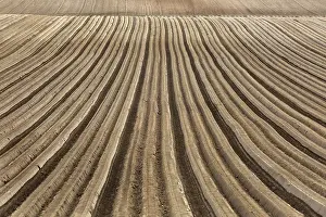 Cropland Scenery Photos Drucke: Furrows