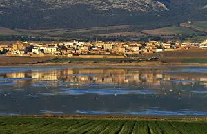Drucke von Gallocanta, Laguna de Gallocanta, Aragon (Zaragoza), Spanien See Drucke: Gallocanta, Laguna de Gallocanta