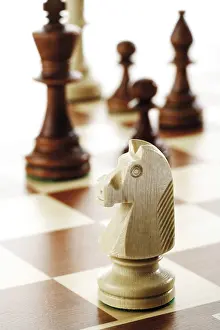 Drucke von Spiel des Schachs Königsbraun Drucke: Spiel des Schachs
