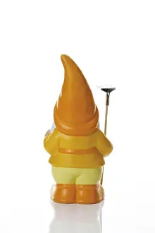 Studio Photography Backgrounds Drucke: Garden gnome
