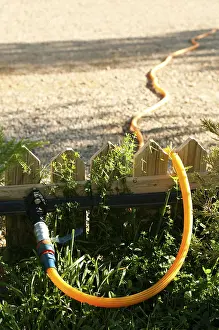 Urbane Kunst Drucke: Gartenschlauch und Zaun